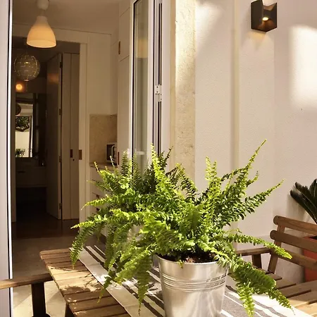 Lapa Sunny Terrace By Be@home Apartment Lisbon